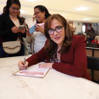 Suspenden 15 asambleas distritales de Morena en Edomex, Colima e Hidalgo