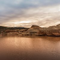 Inédito hallazgo en las gélidas aguas de Chubut