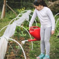 La costumbre de las huertas urbanas llegó para quedarse