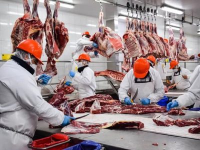 Después de 100 años, la Argentina alcanzó un récord en la exportación de carne vacuna