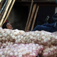 #Procesofoto, las imágenes del día