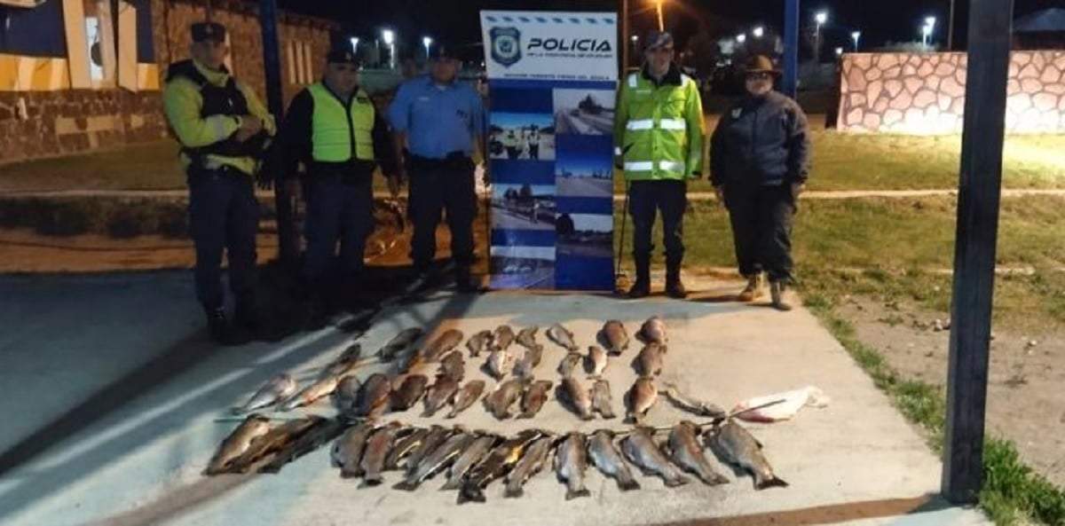 Las truchas secuestradas durante los controles en Piedra del Águila. Fuente: (Neuquén Informa)