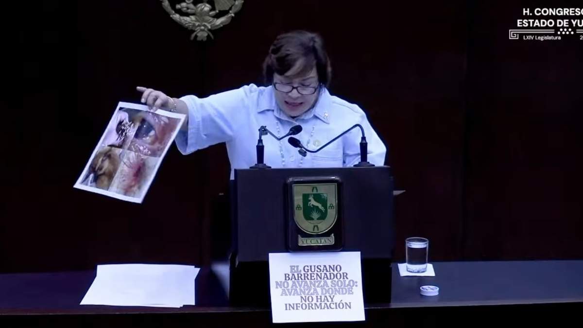 La diputada del PAN, Ana Cristina Polanco Bautista, muestra fotografías de un ojo infestado de larvas