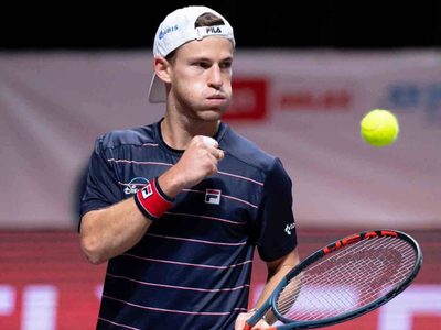 Australian Open: en un día gris para los argentinos Diego Schwartzman avanzó a segunda ronda