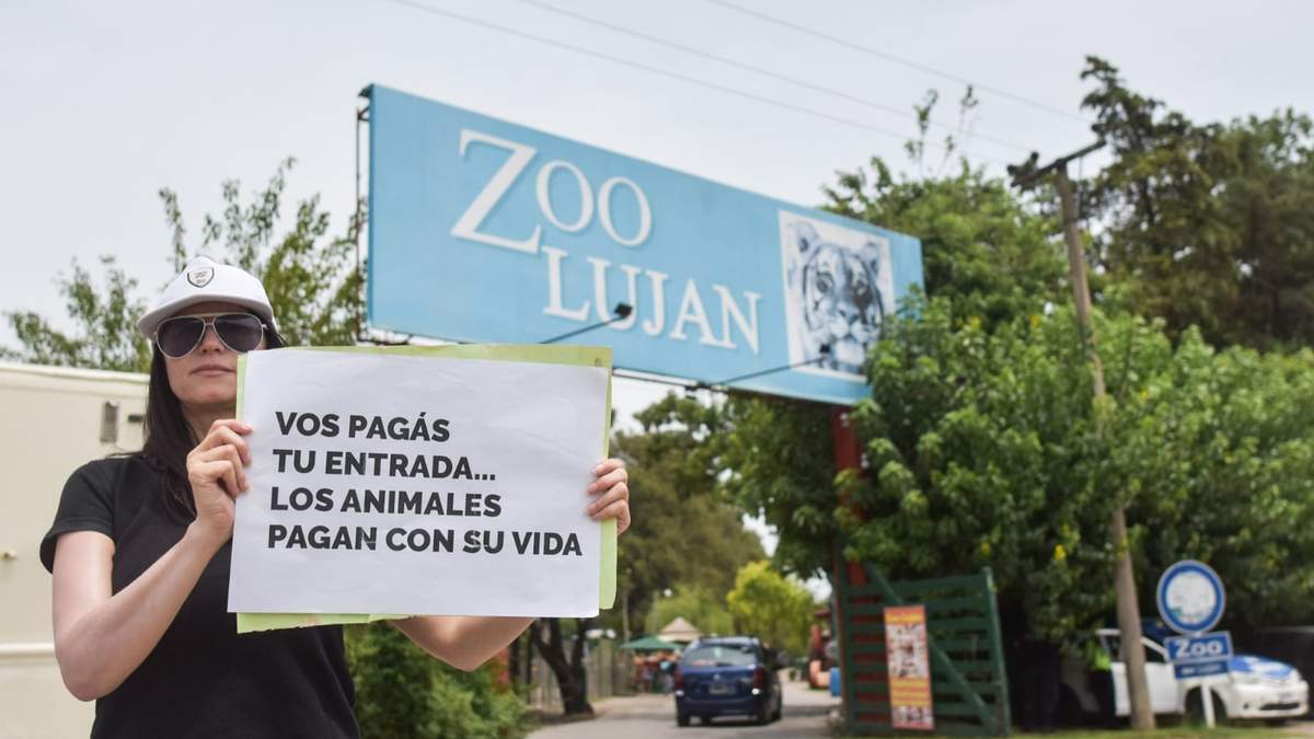Zoológico de Luján. Fuente: (Twitter)