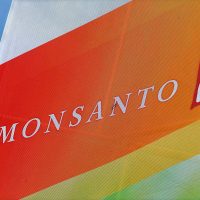 Bayer aumenta a 75 mil mde su oferta para comprar a Monsanto