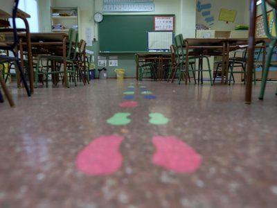 El regreso a las aulas: será progresivo y escalonado