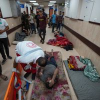 ONU suspende distribución de alimentos en Rafah debido a la inseguridad (Video)