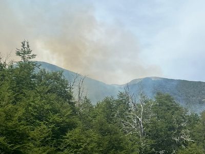 El incendio forestal en Lago Hermoso arrasó cuatro hectáreas