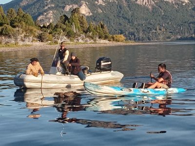 Rescataron a un cóndor que cayó al lago Traful en la zona norte del Parque Nacional Nahuel Huapi