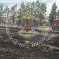 Bomberos controlaron un incendio en un predio municipal detrás del Portal Patagonia Shopping