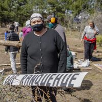 Denunciaron a una jueza por "entrega" de tierras a Mapuches