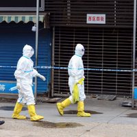 Llegan al mercado de Wuhan los expertos de la OMS que buscan el origen del coronavirus