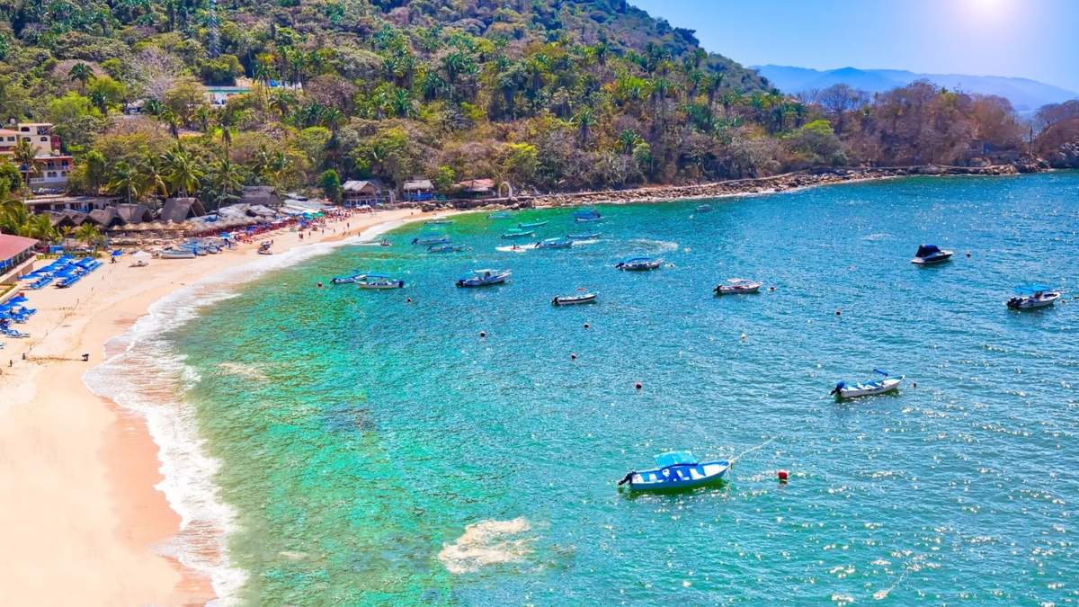 Operativos de emergencia se activaron tras el impacto entre una lancha y un cetáceo en la zona sur de Puerto Vallarta.