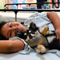 Terapias con perros ayudan a pacientes a fortalecer su bienestar emocional en el INP