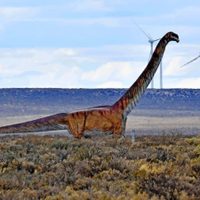 Increíble hallazgo en Neuquén: serían fósiles del dinosaurio más grande del planeta