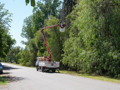 Otro intendente en apuros por una licitación de luces LED