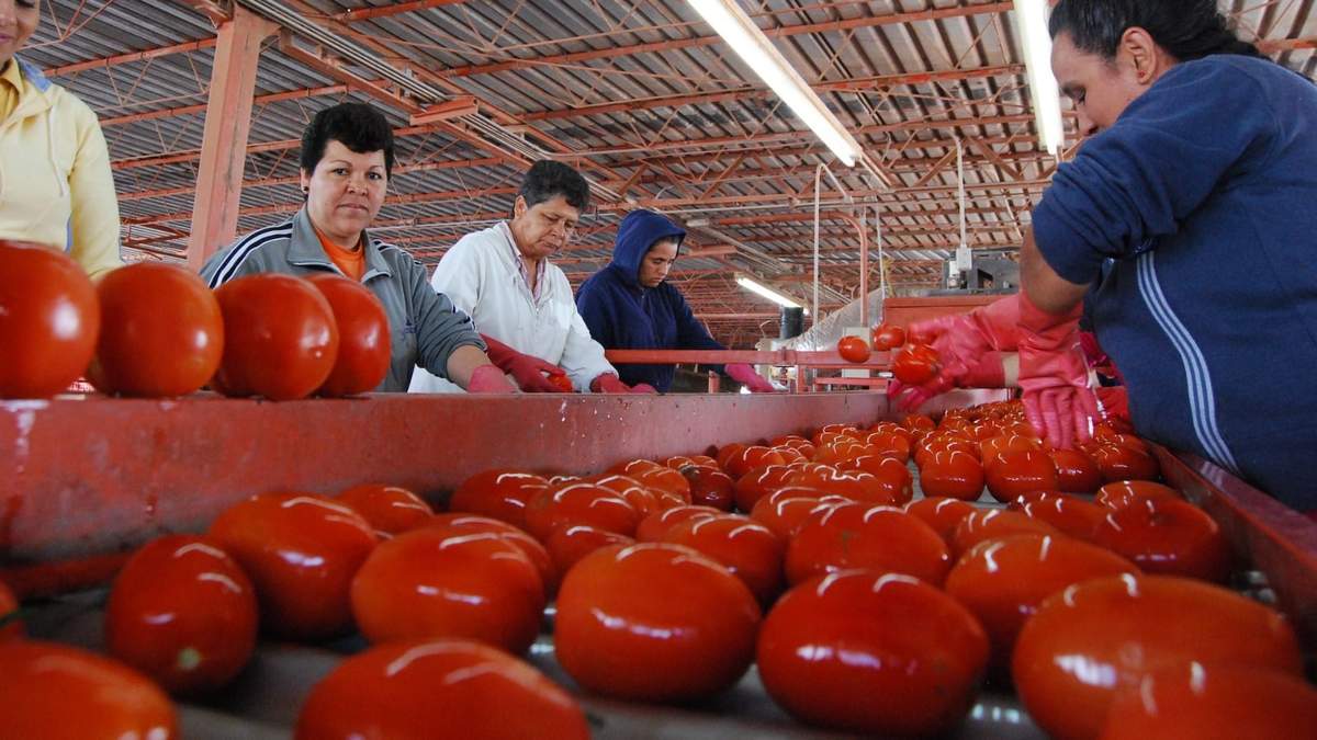 Las secretarías de Economía y Agricultura adelantaron que continuarán respaldando a los productores