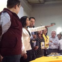 Alejandra Barrales es la nueva dirigente nacional del PRD