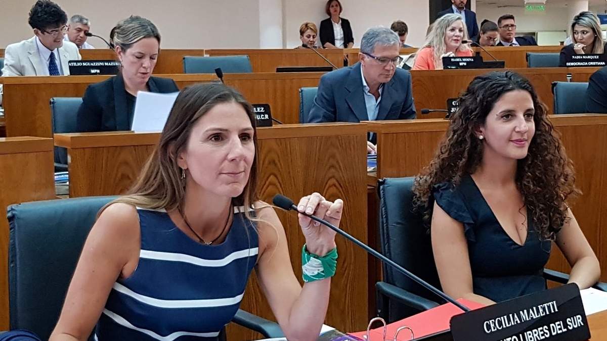 Maletti habló sobre la marcha atrás de la parada "Taxi Rosa". Fuente: (Libres del Sur)