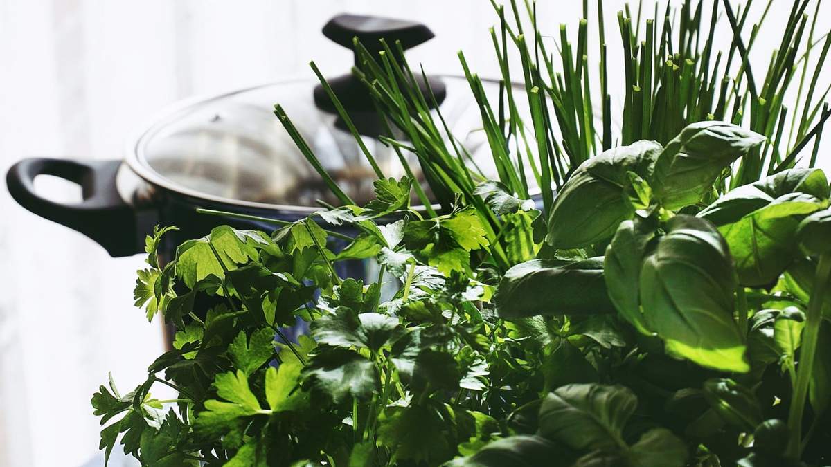 Con estas tres plantas aromáticas en tu hogar, siempre tendrás a mano ingredientes frescos