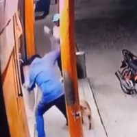 Sujeto golpea con una piedra al perro que le ladró cuando pasaba en su moto (Video)
