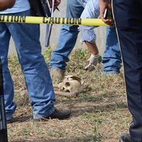 Documentan en Guerrero 134 casos de desaparición forzada en 24 años