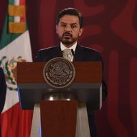 Se han cubierto solo el 5.51% de plazas para médicos especialistas: Zoe Robledo