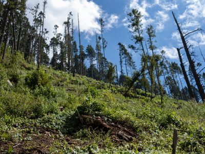 Computación: ¿Existe la vida porque la Naturaleza es asimétrica?