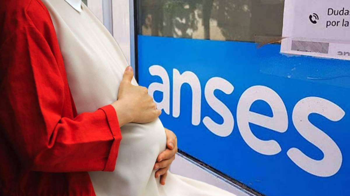 ANSES. Fuente: (Minuto Neuquén)
