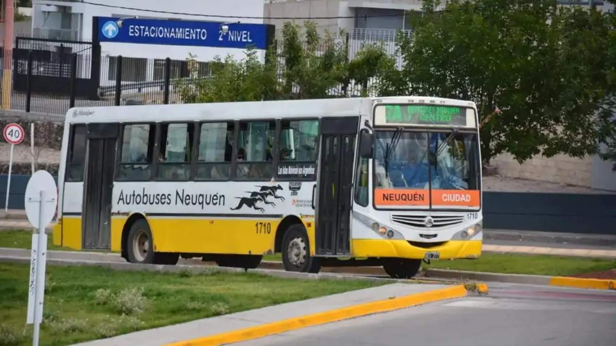 Colectivos de Neuquén. Fuente: (Twitter)