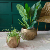 Con solo 2 materiales, hacé tu propia planta artificial para darle un toque exclusivo a cualquier ambiente