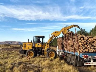 Se puso en marcha el "Operativo leña" que llegará a municipios y comisiones de fomento