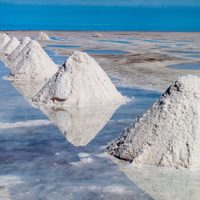 Salta: las autoridades de Producción y Desarrollo Sustentable visitaron la planta de Puna Mining