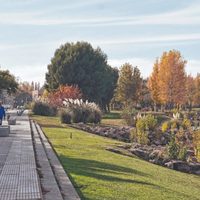Violento ataque “piraña” cerca del Río Limay terminó con 2 personas heridas