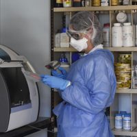 Coronavirus: el 95% de casos positivos de Neuquén fueron de la variante Ómicron
