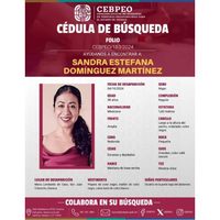 Suman 653 desapariciones forzadas en el sexenio de Salomón Jara