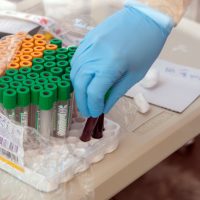 Bacteria “burkholderia” causa la muerte de cuatro personas en Baja California Sur; así se contrae