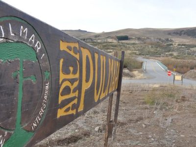 Bajo la lupa: Legisladores neuquinos exigen informes detallados sobre la Corporación Pulmarí