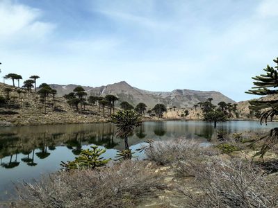 La impactante laguna de Neuquén que se esconde al pie de un volcán y refleja todo a su alrededor