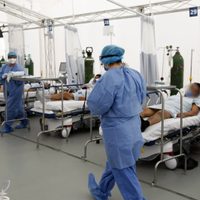 La OMS reporta este sábado un récord de muertes por covid-19