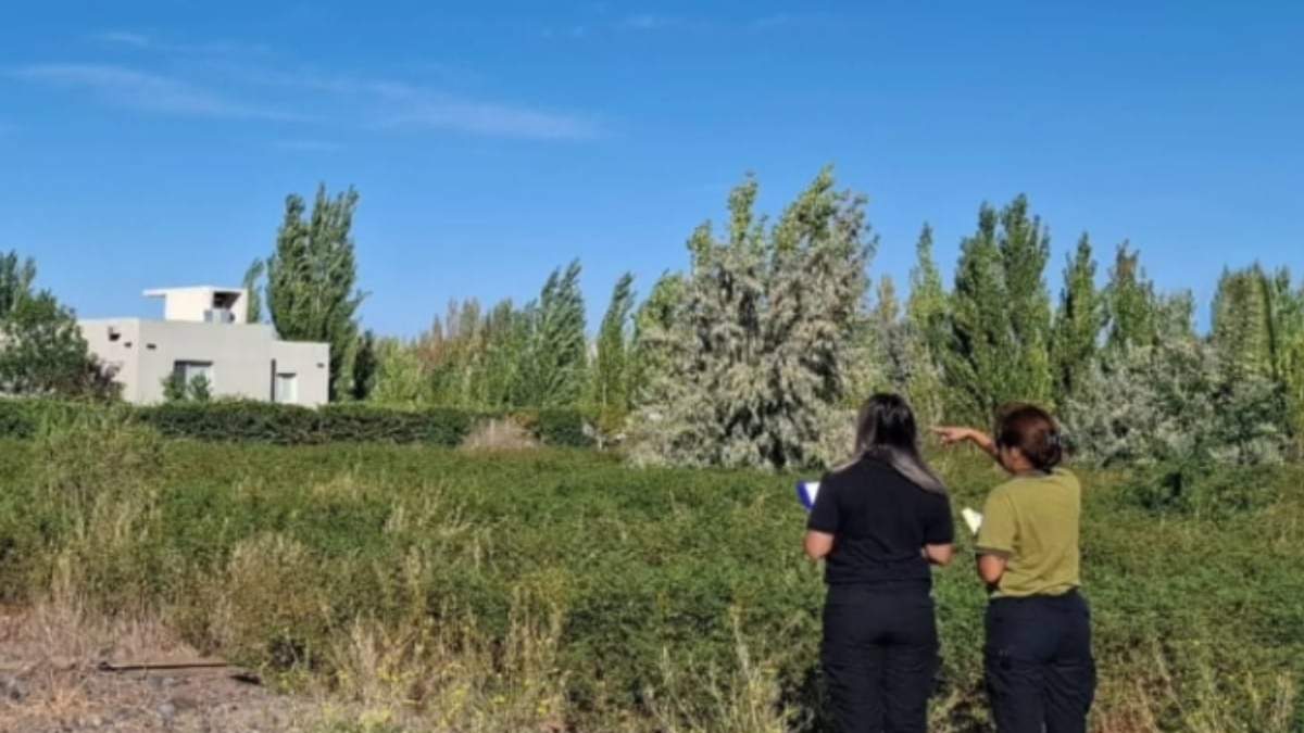 El municipio realiza inspecciones