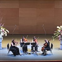 Las cuerdas deleitaron el Festival de Música de Morelia: Iwo y Karolina y el Chaos String Quartet