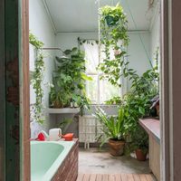 5 plantas que deberías colocar en el baño de tu casa
