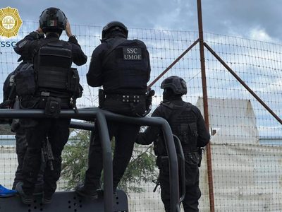 Operativo de SSC alrededor del refugio animal en el Ajusco; buscan evitar sustracción de felinos