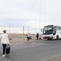 Comienzan a regresar zapalinos varados en distintas partes del país