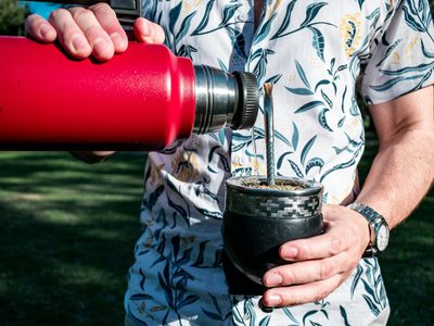 Yerba mate: beneficios respaldados por la ciencia, propiedades y contraindicaciones que debés conocer