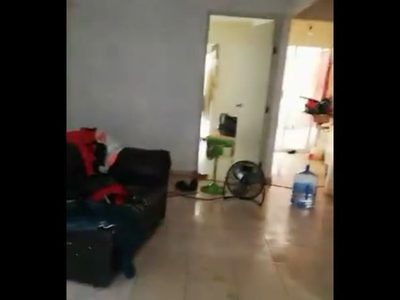 Abandonados, niños de 3 y 4 años iban a cocinar un gato porque tenían hambre