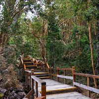 Un rincón de Neuquén, entre los mejores destinos para hacer trekking en el mundo: mirá cómo llegar