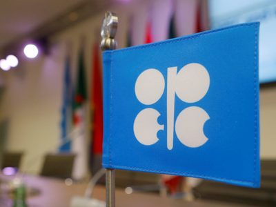 La OPEP mantuvo una reunión virtual con el Foro de Países Exportadores de Gas